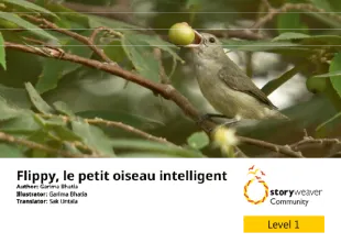 Flippy, le petit oiseau intelligent