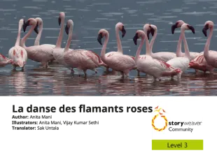 La danse des flamants roses