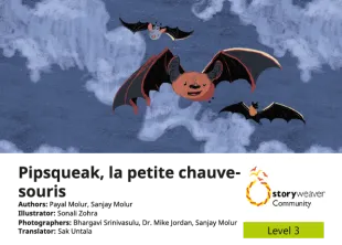 Pipsqueak, la petite chauve-souris