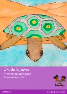 UFudo iqhawe