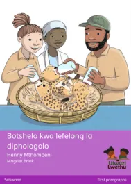 Botshelo kwa lefelong la diphologolo