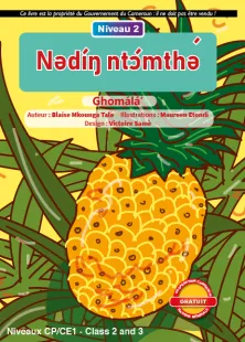 Nədíŋ ntɔ́mthə́