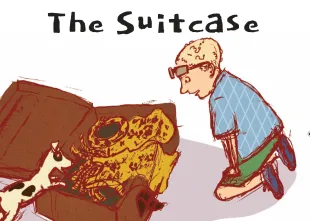 The Suitcase