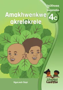 Amakhwenkwe aziingqondi