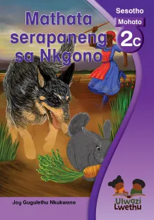 Mathata serapaneng sa Nkgono