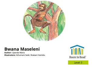 Bwana Maseleni