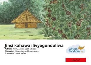 Jinsi kahawa ilivyogunduliwa