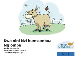 Kwa nini Nzi humsumbua Ng'ombe