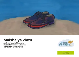 Maisha ya viatu