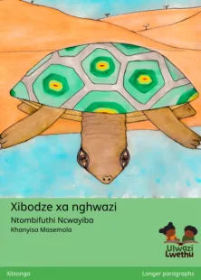 Xibodze xa nghwazi