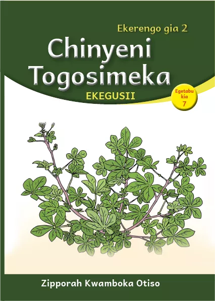 Cover thumbnail - Chinyeni Togosimeka (Level 2 Book 7)
