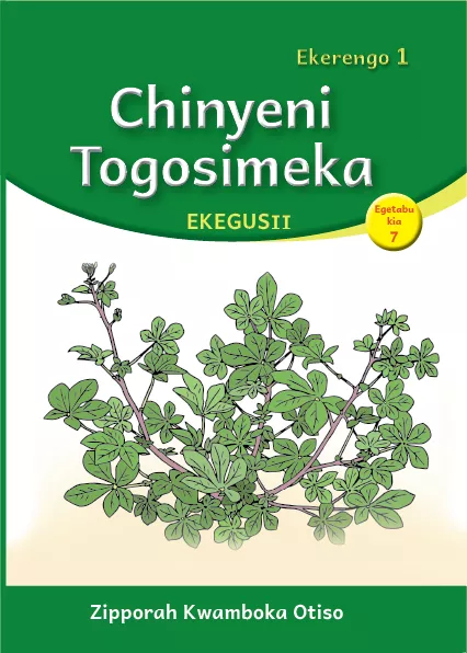 Cover thumbnail - Chinyeni Togosimeka (Level 1 Book 7)