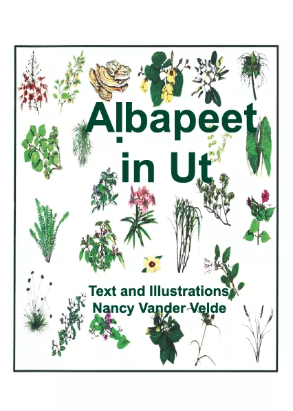Albappet in Ut Cover thumbnail - Albappet in Ut