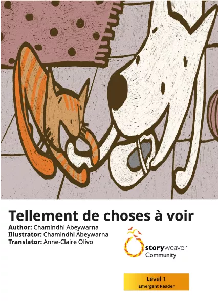 Cover thumbnail - Tellement de choses à voir