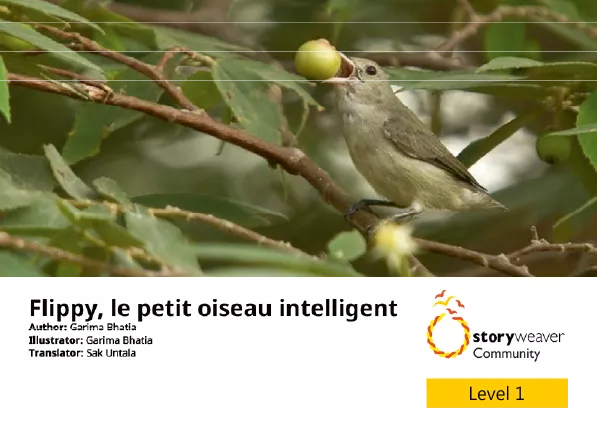 Cover thumbnail - Flippy, le petit oiseau intelligent