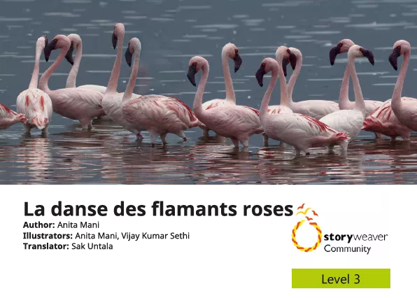 La danse des flamants roses Cover thumbnail - La danse des flamants roses