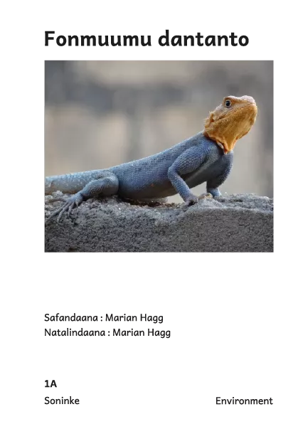 Fonmuumu dantanto Cover thumbnail - Fonmuumu dantanto
