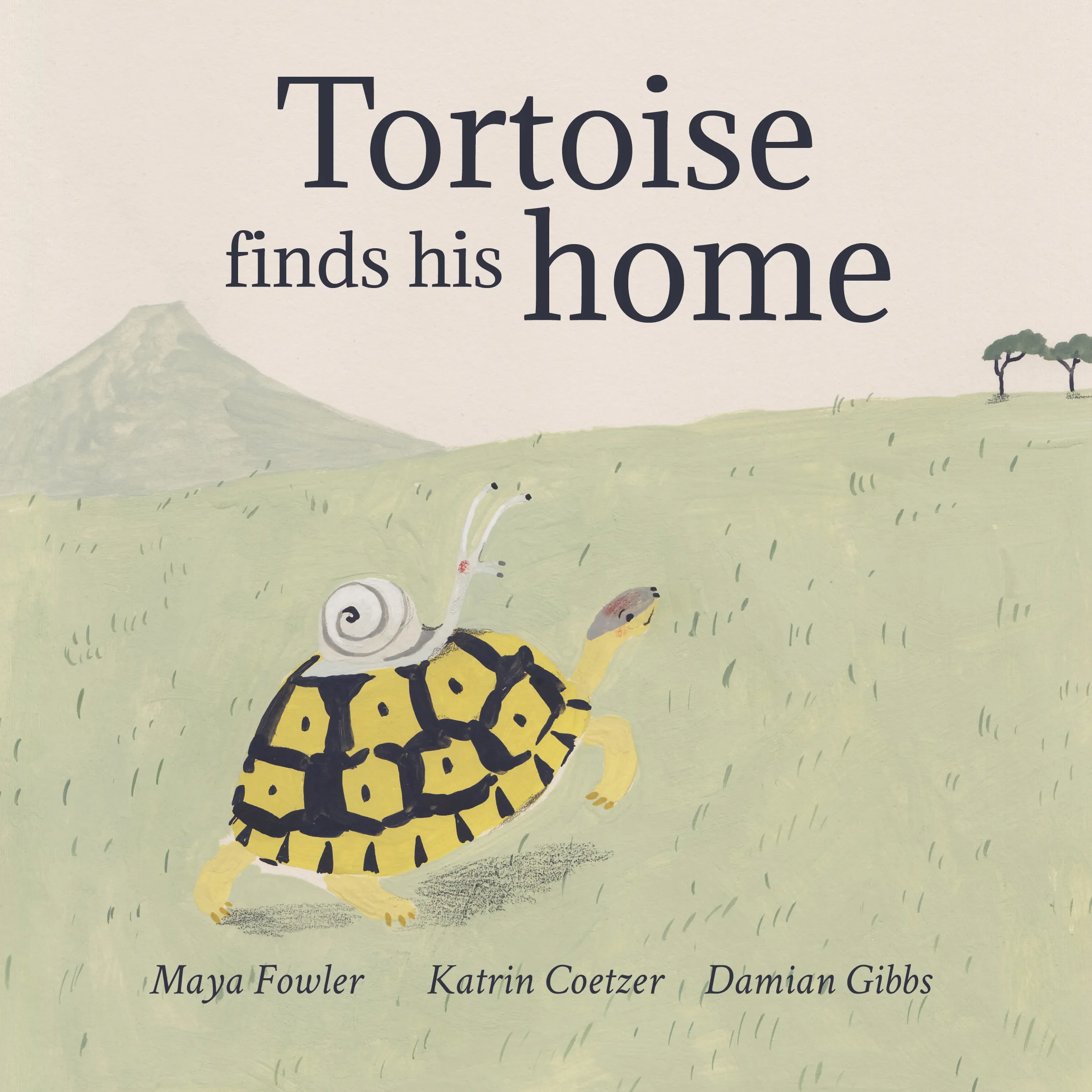 Tortoise finds his home Tortoise finds his home
